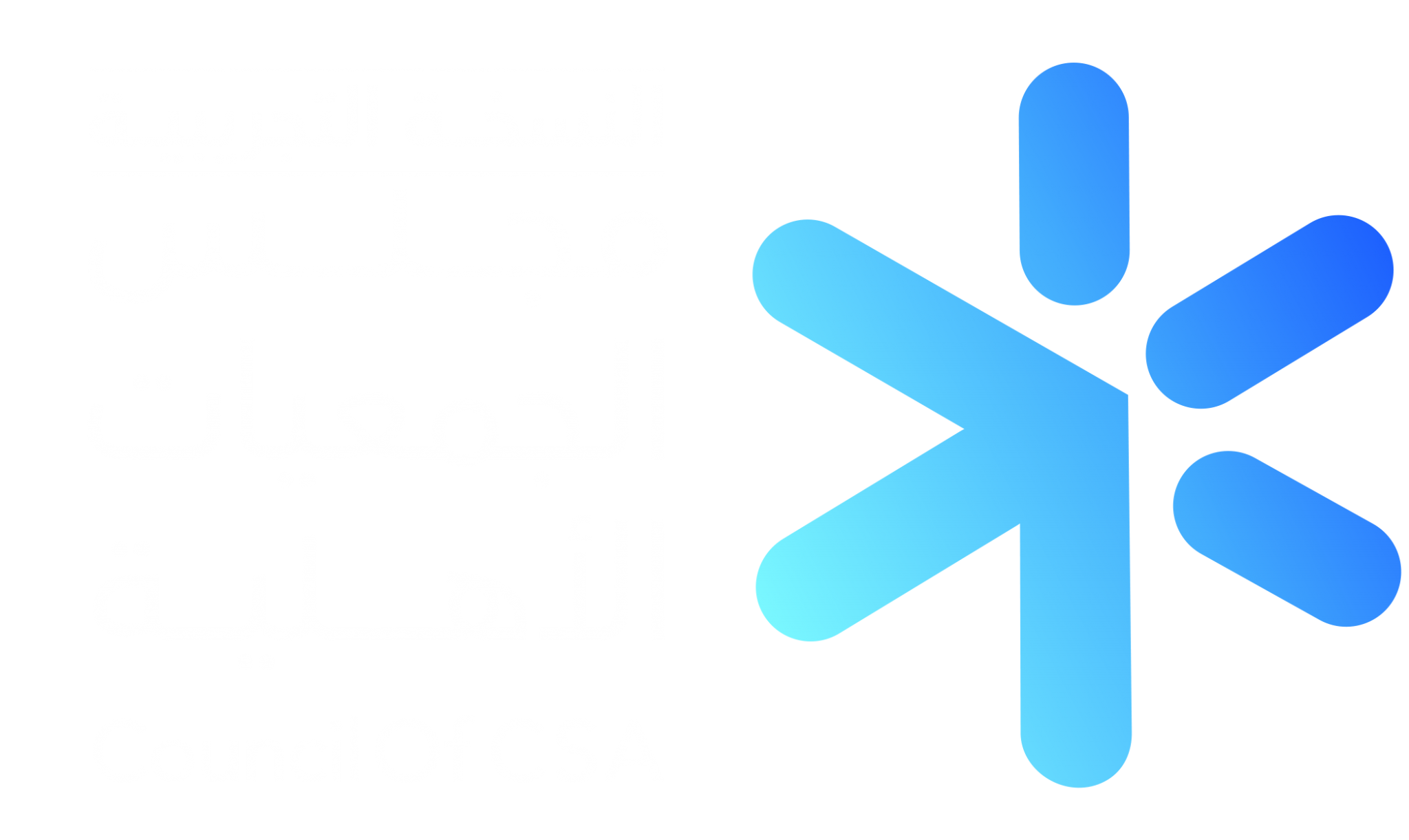 النسخة التجريبية لمجلس الجمعيات الأهلية